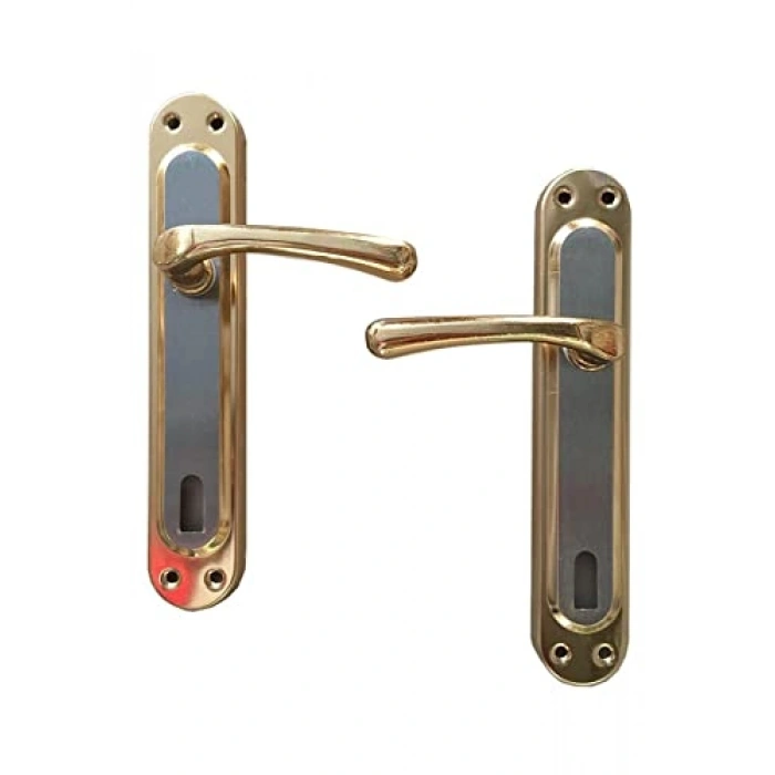 Saten Altın Renkli Kapı Kolu, Çelik Malzeme, Şık Tasarım