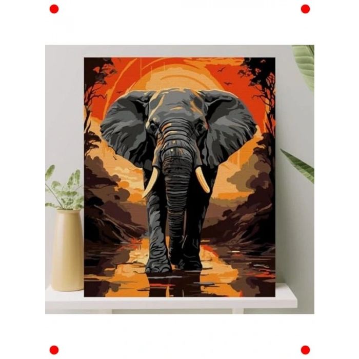 Sayılarla Boyama Tuval Seti 40x50 cm - Fil