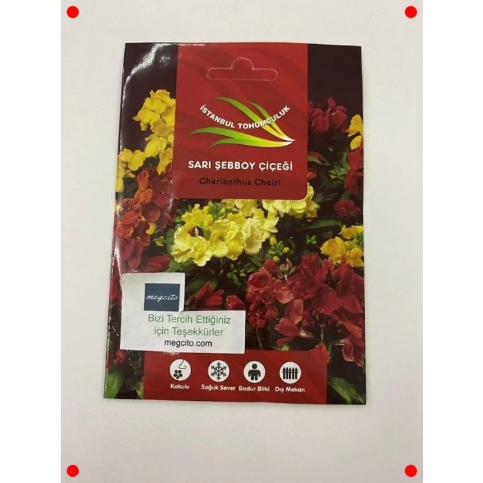 Şebboy Çiçeği Karışık Renk Tohumları - 250 Adet