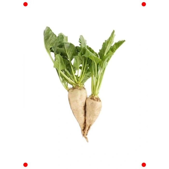 Şeker Pancarı Tohumu (5 gr) - Tatlı Hasatlar