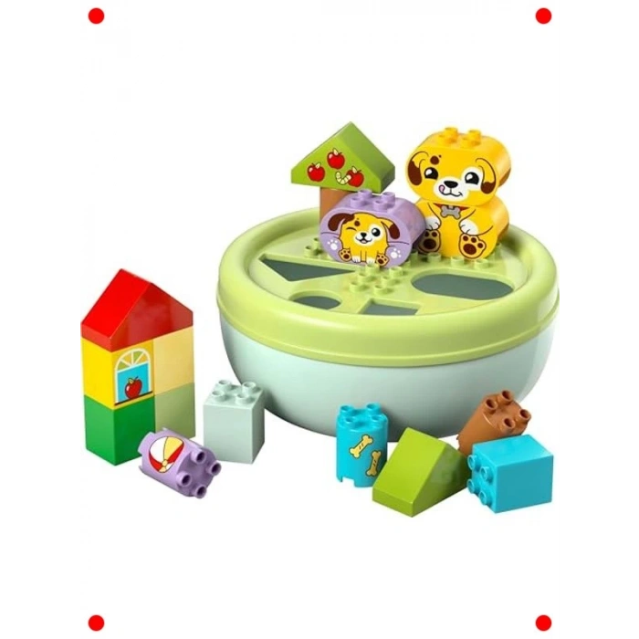 Şekil Ayırıcı Köpek Evi Yapım Seti (17 Parça)