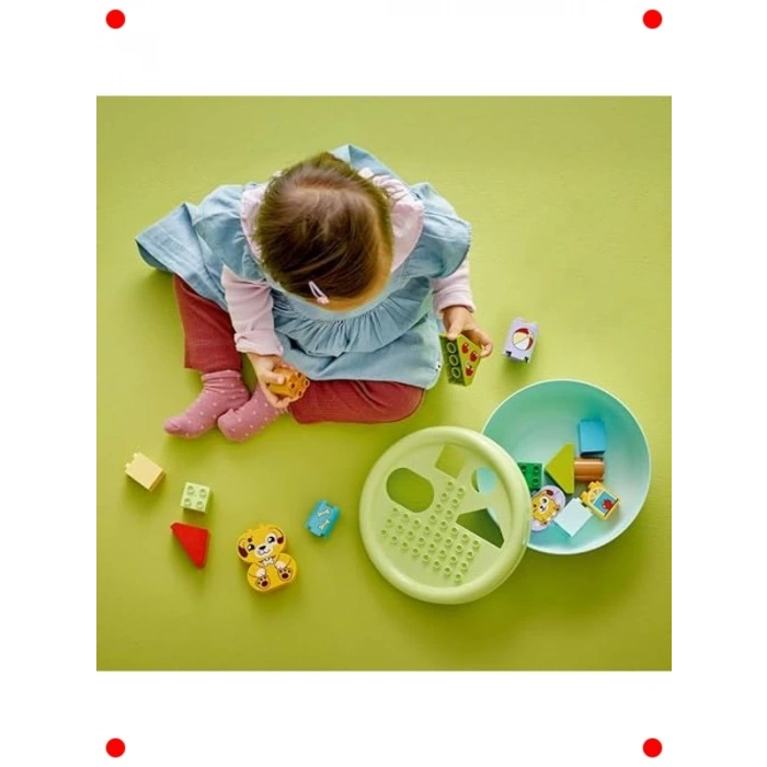 Şekil Ayırıcı Köpek Evi Yapım Seti (17 Parça)