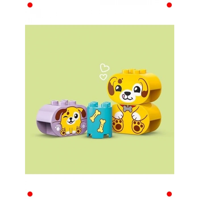 Şekil Ayırıcı Köpek Evi Yapım Seti (17 Parça)