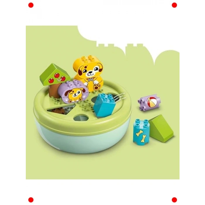 Şekil Ayırıcı Köpek Evi Yapım Seti (17 Parça)