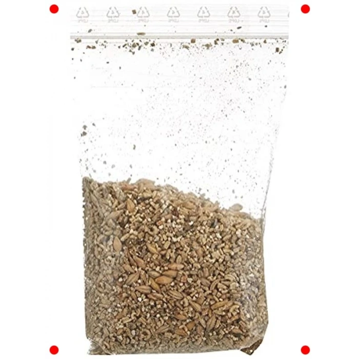 Seramik Kapta Taze Kedi Çimi, Doğal Sindirim