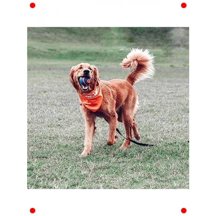 Sesli Dayanıklı Köpek Oyun Topu (Büyük Boy)