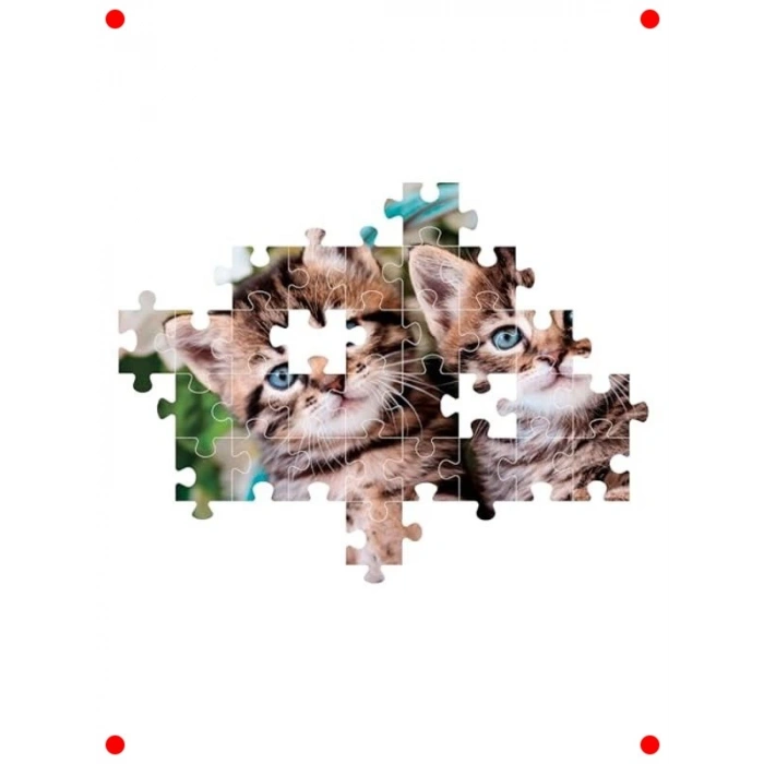 Sevimli Kedi Yavruları 60 Parça Renkli Yapboz