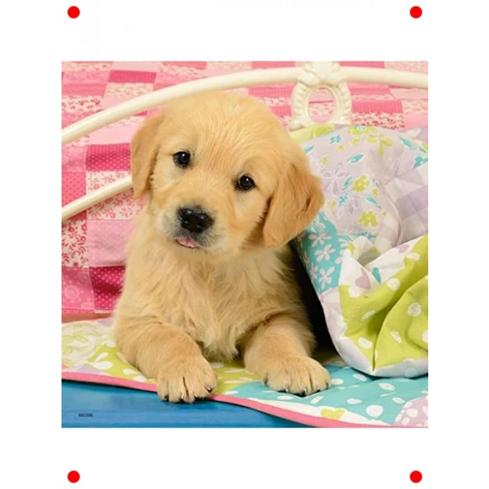 Sevimli Köpek Yavruları Yapbozu 3x49 Parça (3+)