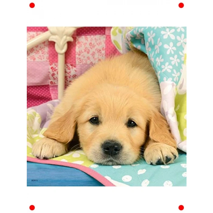 Sevimli Köpek Yavruları Yapbozu 3x49 Parça (3+)