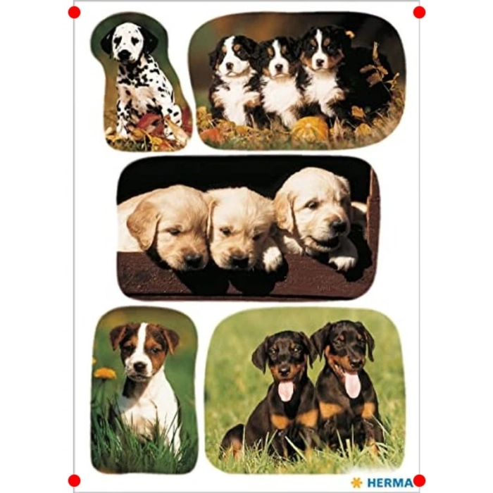 Sevimli Köpek Yavrusu Çıkartma Seti - 15 Adet