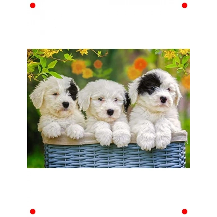 Sevimli Yavru Köpekler Temalı 200 Parça Yapboz