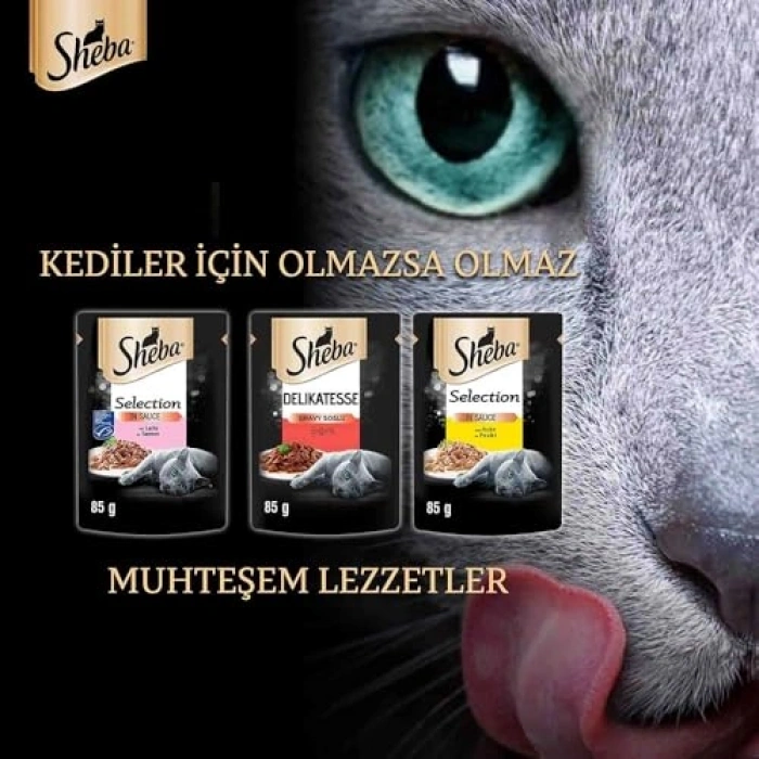 Sheba Pouch Somon Balıklı Yetişkin Kedi Konservesi 85 Gr