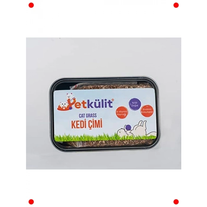 Siyah Kedi Çimi Tohumu - Kolay Yetiştirme