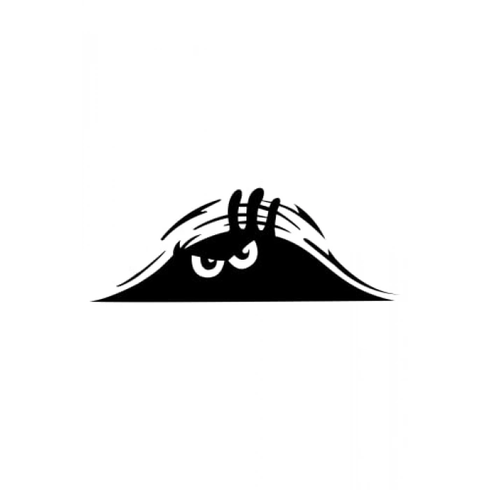 Siyah Oto Sticker, 20 x 8 cm Boyutunda