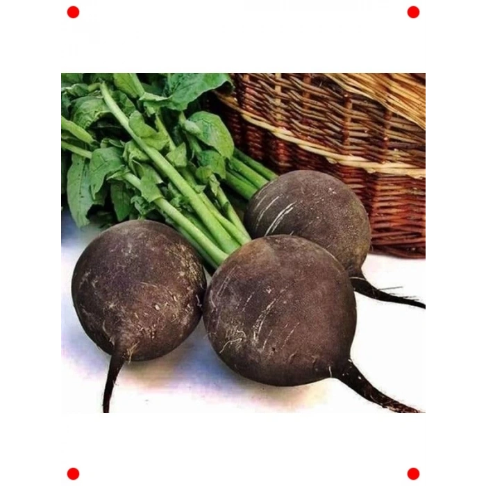 Siyah Turp Tohumu - 5 gr - Lezzetli & Sağlıklı