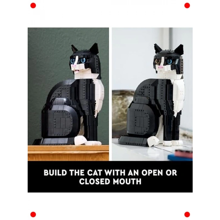 Smokinli Kedi Yapım Seti