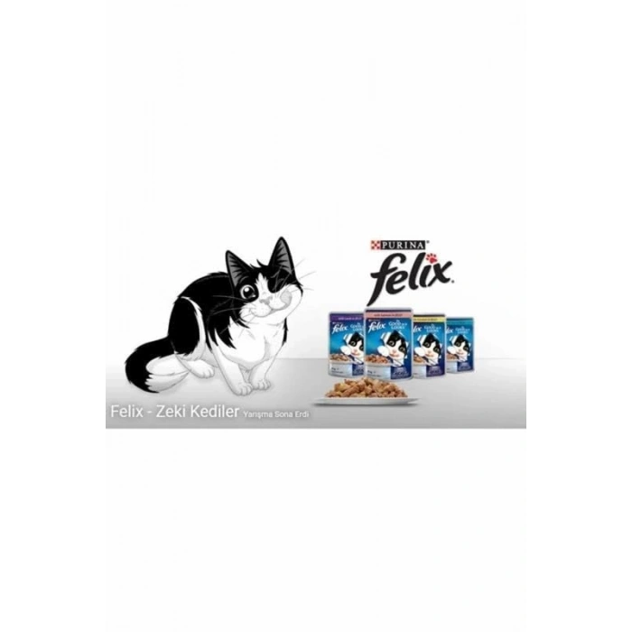 Somon ve Karidesli Kedi Yaş Mama, 26 x 85 gr