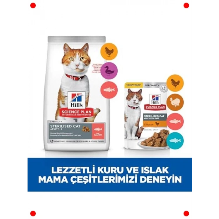 Somonlu Kısırlaştırılmış Yetişkin Kedi Maması 3 Kg