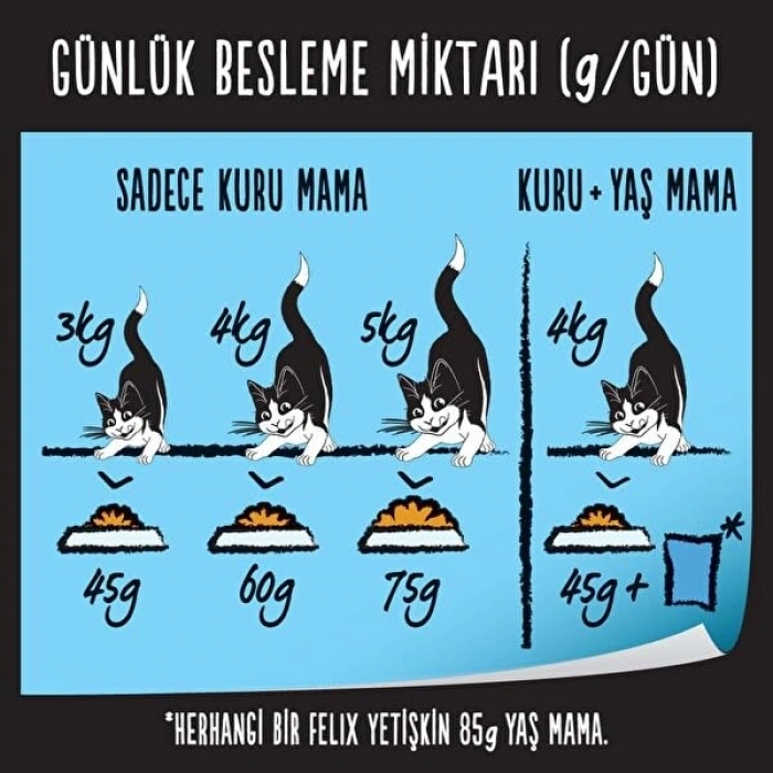 Somonlu Sebzeli Kuru Kedi Maması, 2 Kilogram Paket