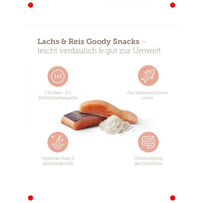 Somonlu ve Pirinçli Hipoalerjenik Köpek Bisküvisi 600 gr