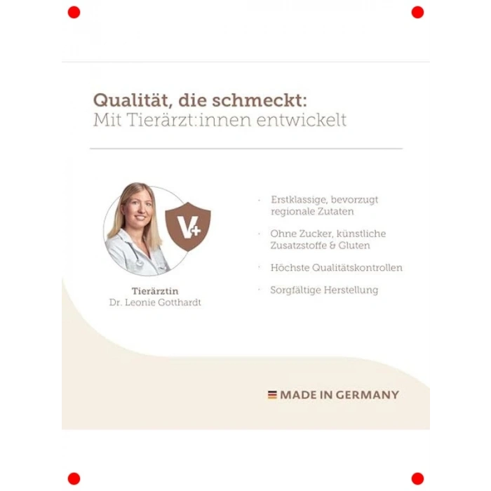 Somonlu ve Pirinçli Hipoalerjenik Köpek Bisküvisi 600 gr