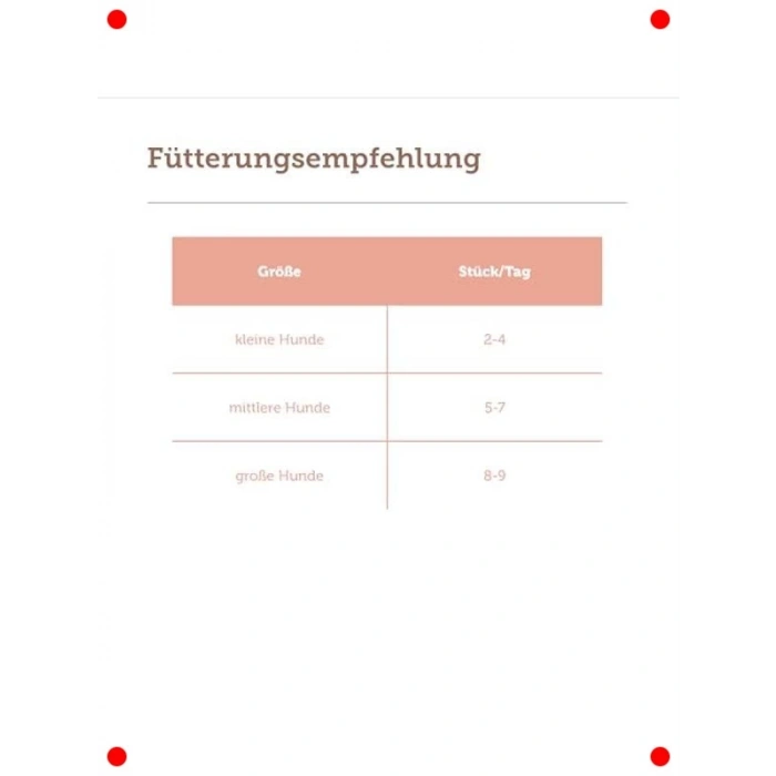 Somonlu ve Pirinçli Hipoalerjenik Köpek Bisküvisi 600 gr