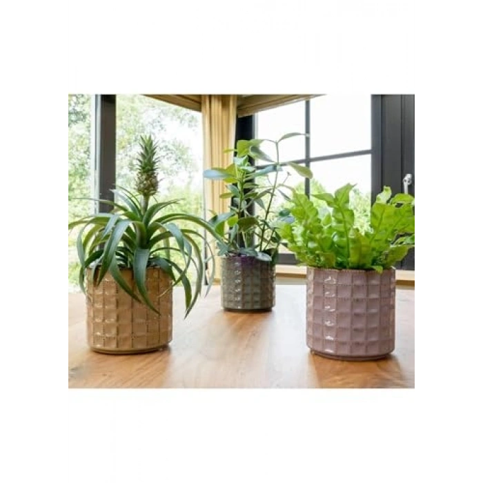 Su Yeşili Saksı 14x13 cm Serak Tasarım