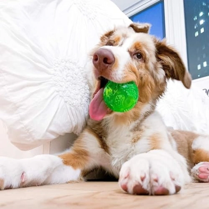 Suda Yüzen Dayanıklı Köpek Oyun Topu, 9 cm
