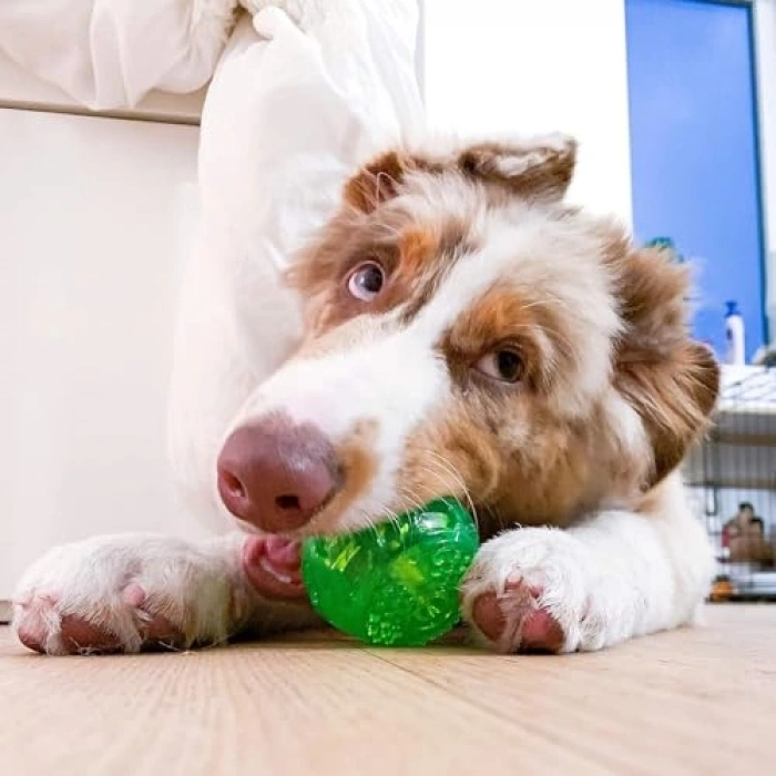 Suda Yüzen Dayanıklı Köpek Oyun Topu, 9 cm