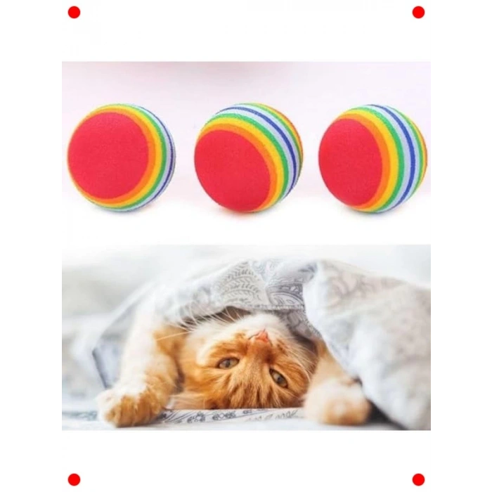 Sünger Çiğneme ve Oyun Topları (4 Adet) - Kedi & Köpek