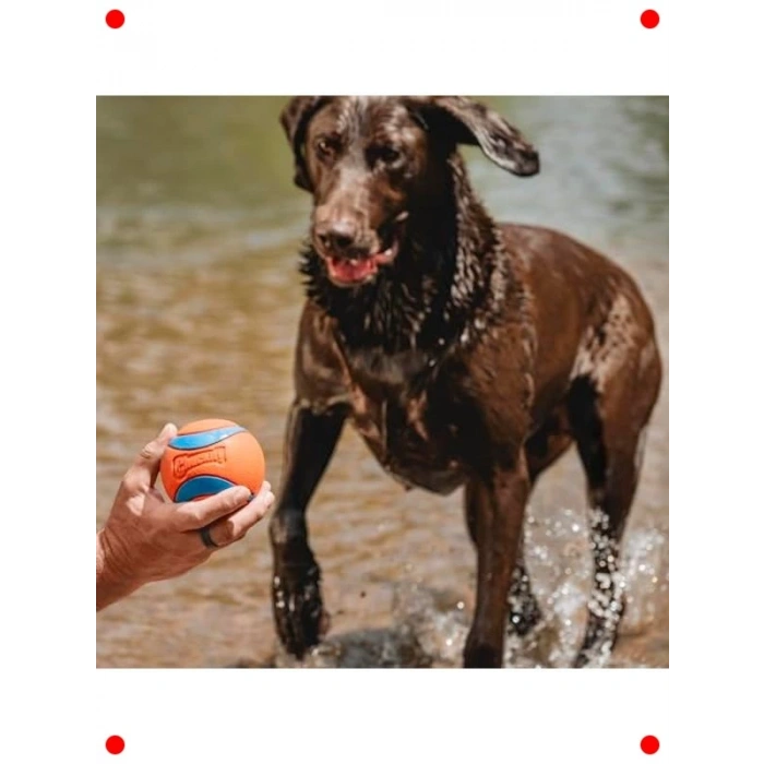 Süper Zıplayan & Yüzen Kauçuk Köpek Topu XXL