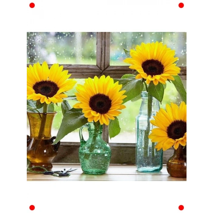 Süs Ayçiçeği Tohumu - Katlı Çiçek, Turuncu Siyah (5 Adet)