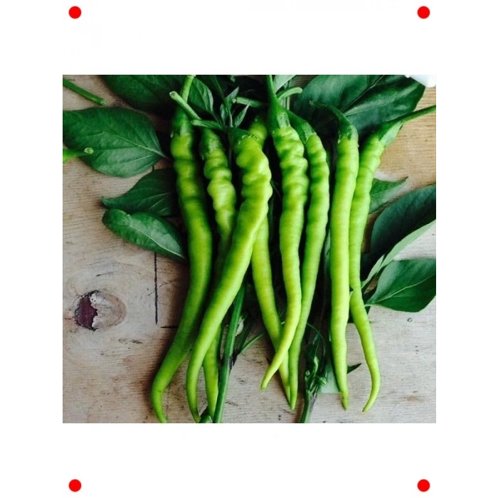 Tatlı Sivri Çorbacı Biber Tohumu - 5 gr