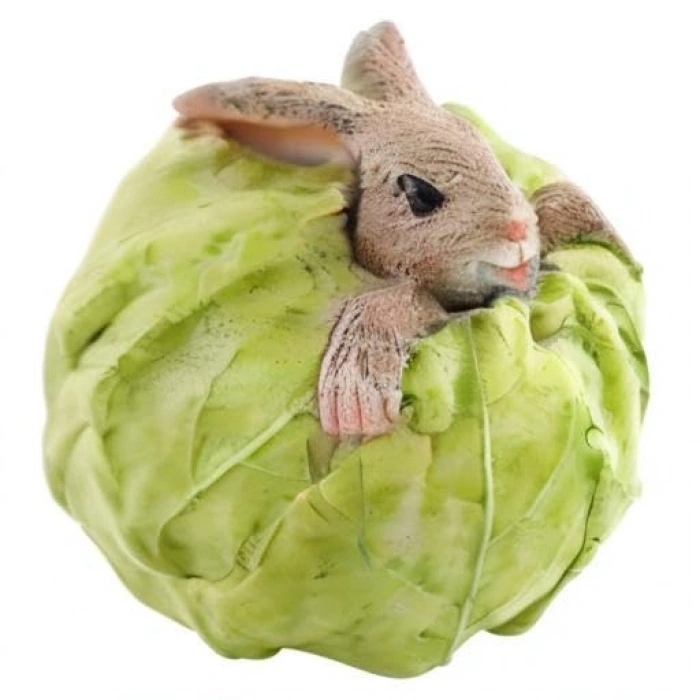 Tavşan Lahana Figürü ile Mini Teraryum Heykeli