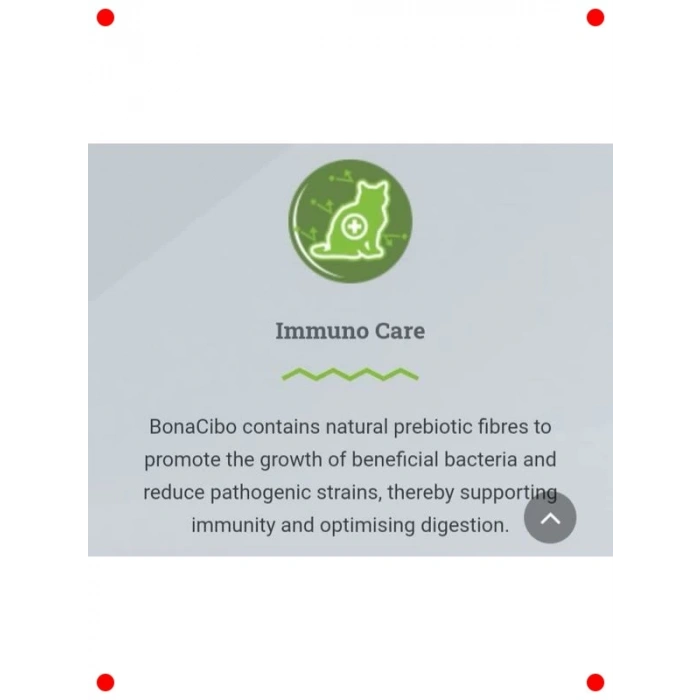 Tavuklu Hamsili Yavru Kedi Maması - 1.5 kg