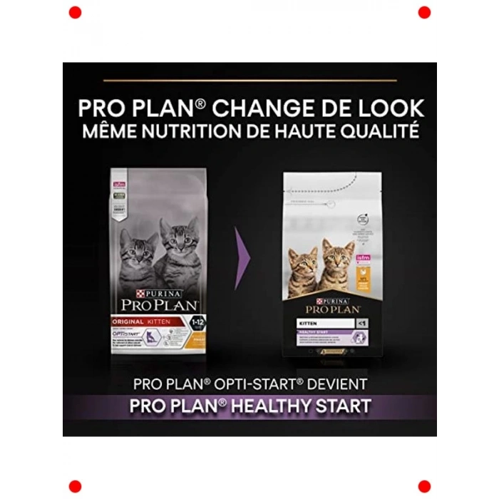 Tavuklu Kuru Yavru Kedi Maması 10 Kg