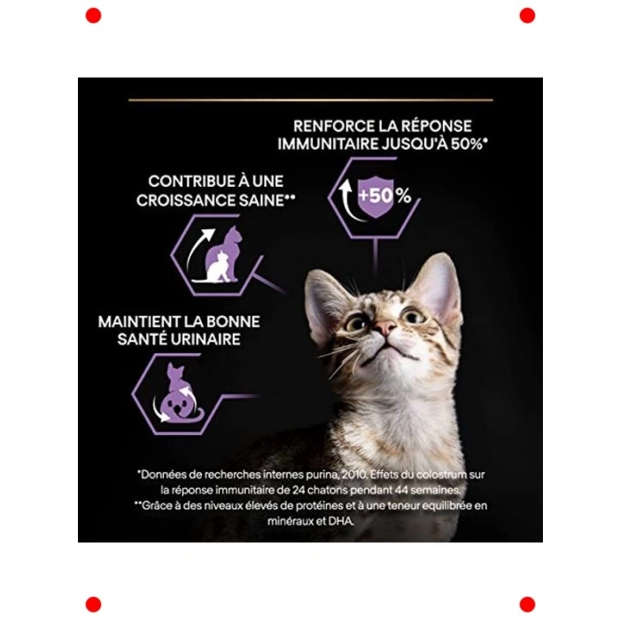 Tavuklu Kuru Yavru Kedi Maması 10 Kg