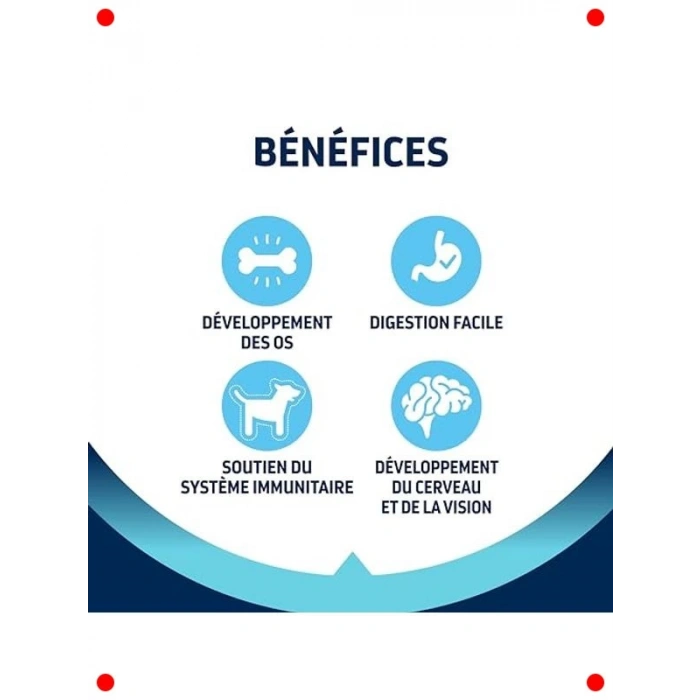 Tavuklu Orta Irk Yavru Köpek Maması 12 Kg