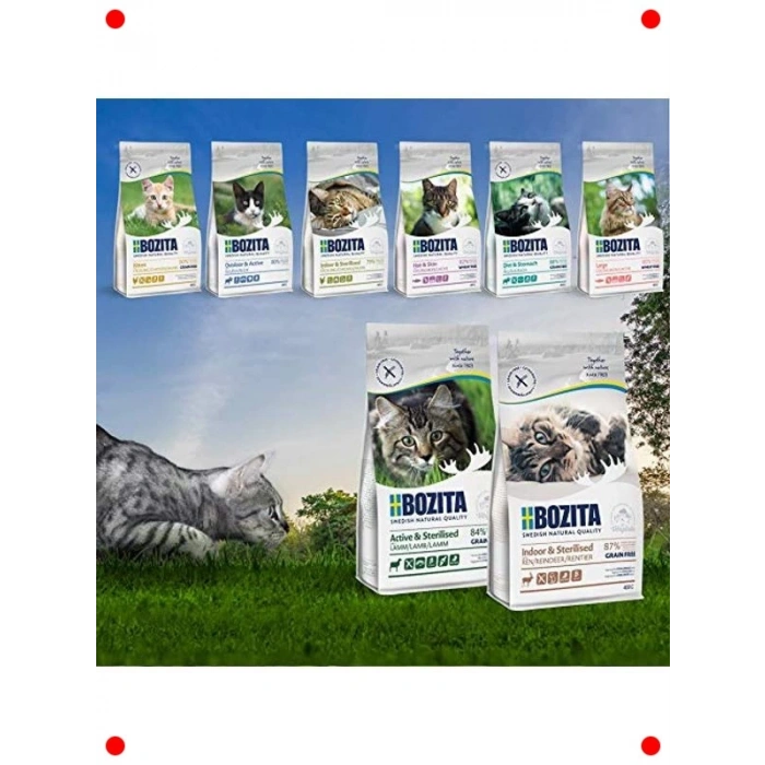 Tavuklu Yavru Kedi Kuru Maması 10 Kg