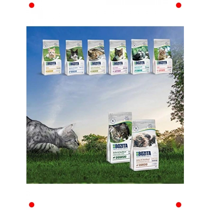 Tavuklu Yavru Kedi Maması 2 kg