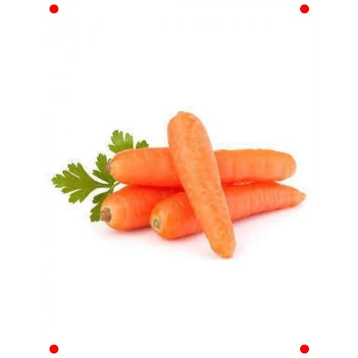 Taze Havuç Tohumu - Çıtır ve Tatlı Hasat