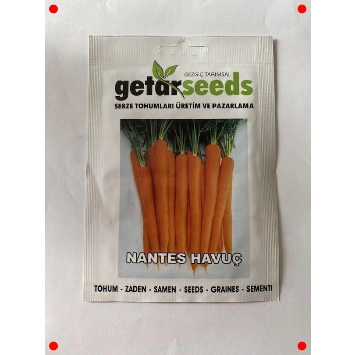 Taze Havuç Tohumu - Çıtır ve Tatlı Hasat