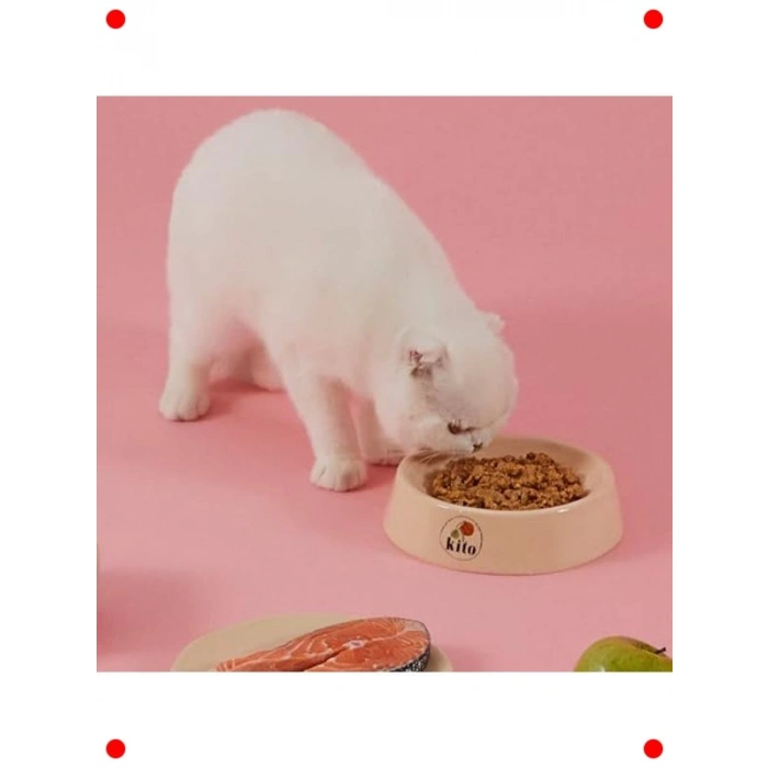 Taze Somon Etli Kedi Yemeği