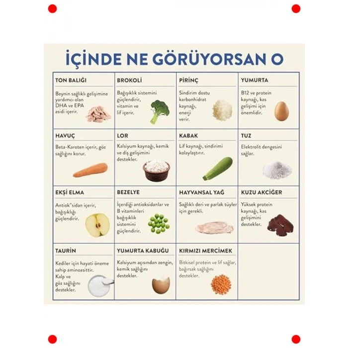 Taze Ton Balıklı Kedi Yemeği