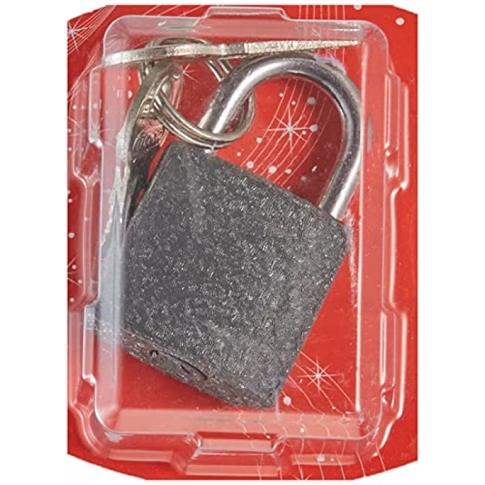 Tek-İş 524164 Asma Kilit Gri Döküm, Gri, 25mm