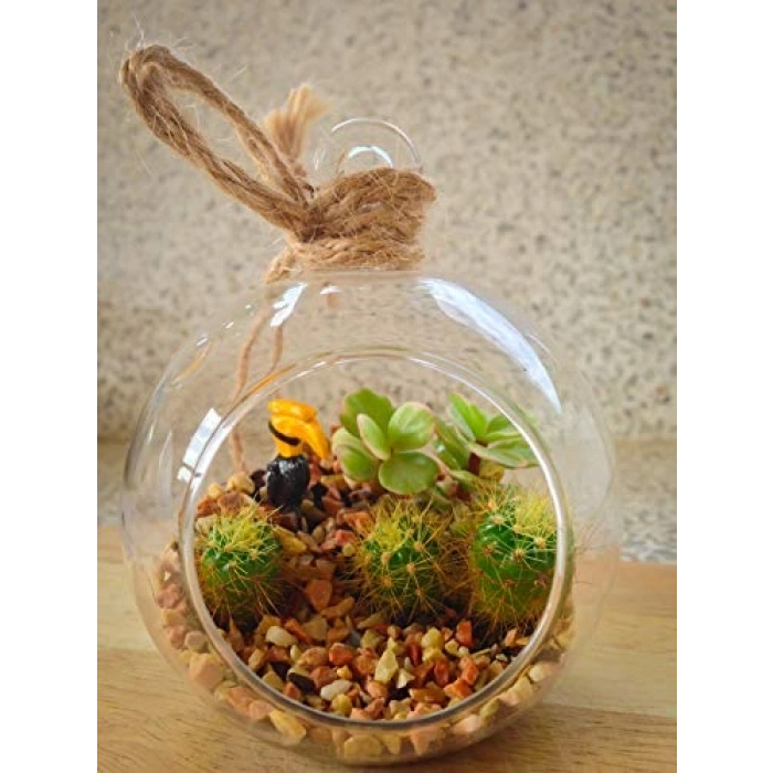 Toprak Örtüsü, 2.3 m² Kapasite, Yüksek Kalite