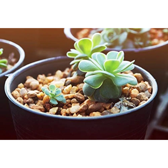 Toprak Örtüsü, 2.3 m² Kapasite, Yüksek Kalite