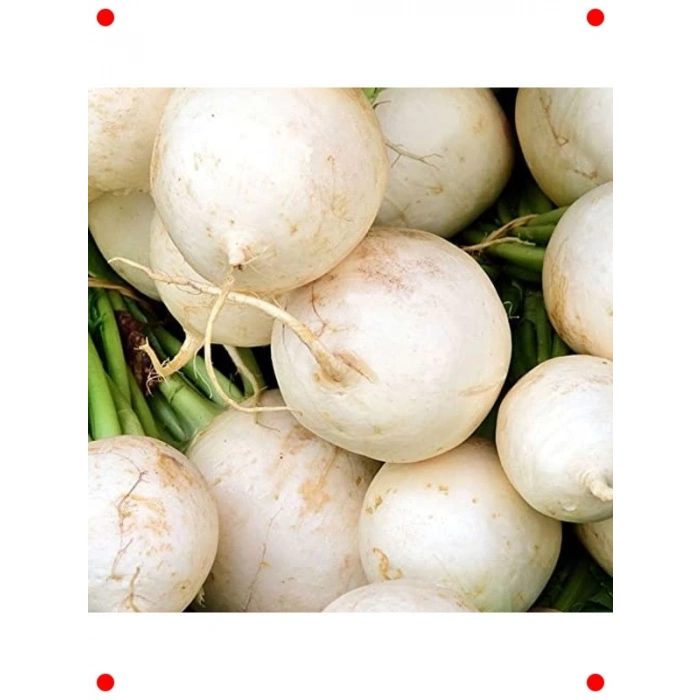 Turp Beyaz Kız Tohumu (10 gr)