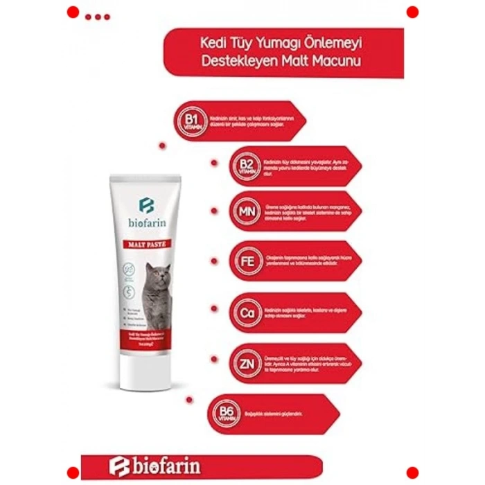 Tüy Yumağı Önleyen Malt Kedi Macunu 100 gr