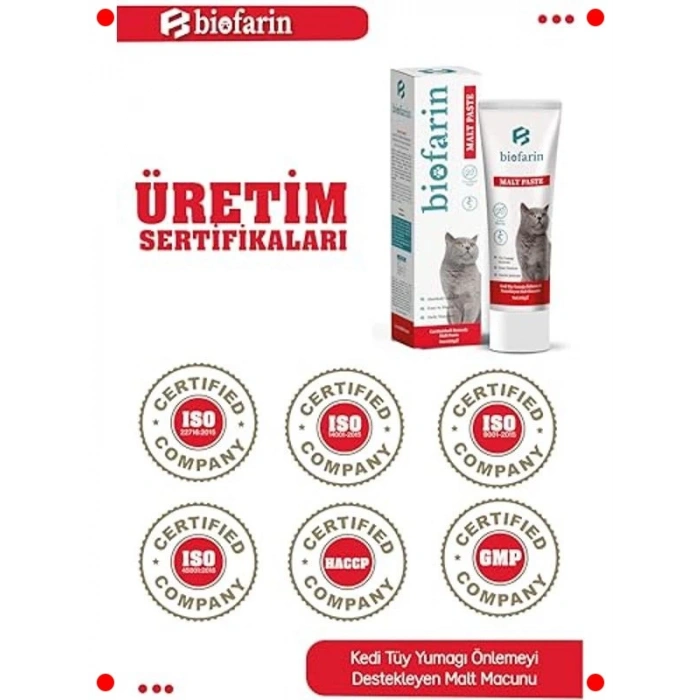 Tüy Yumağı Önleyen Malt Kedi Macunu 100 gr